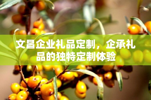 文昌企业礼品定制，企承礼品的独特定制体验