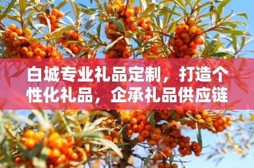 白城专业礼品定制，打造个性化礼品，企承礼品供应链卓越服务