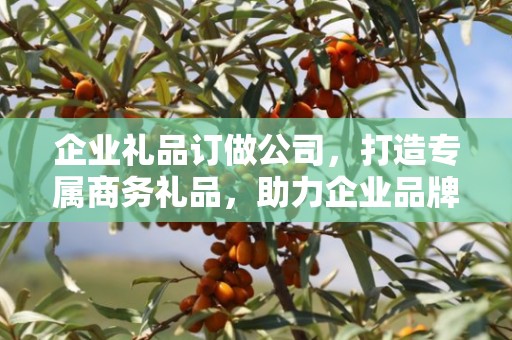 企业礼品订做公司，打造专属商务礼品，助力企业品牌发展
